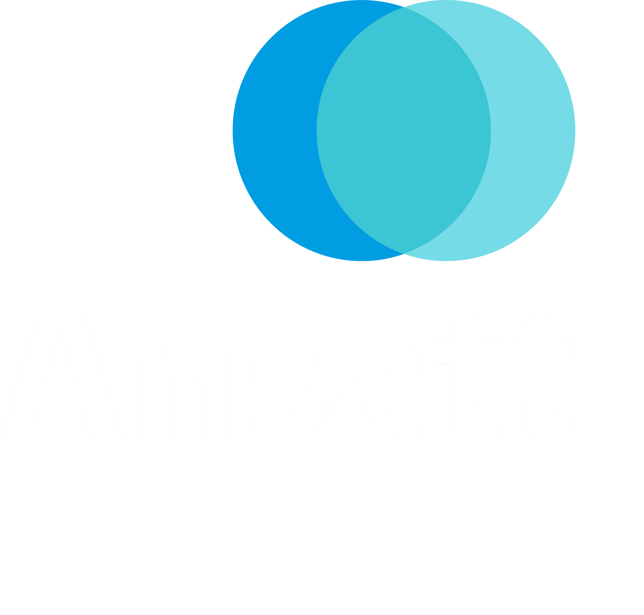 Ansatt Wrocław - Legalizacja, kompleksowa pomoc migrantom